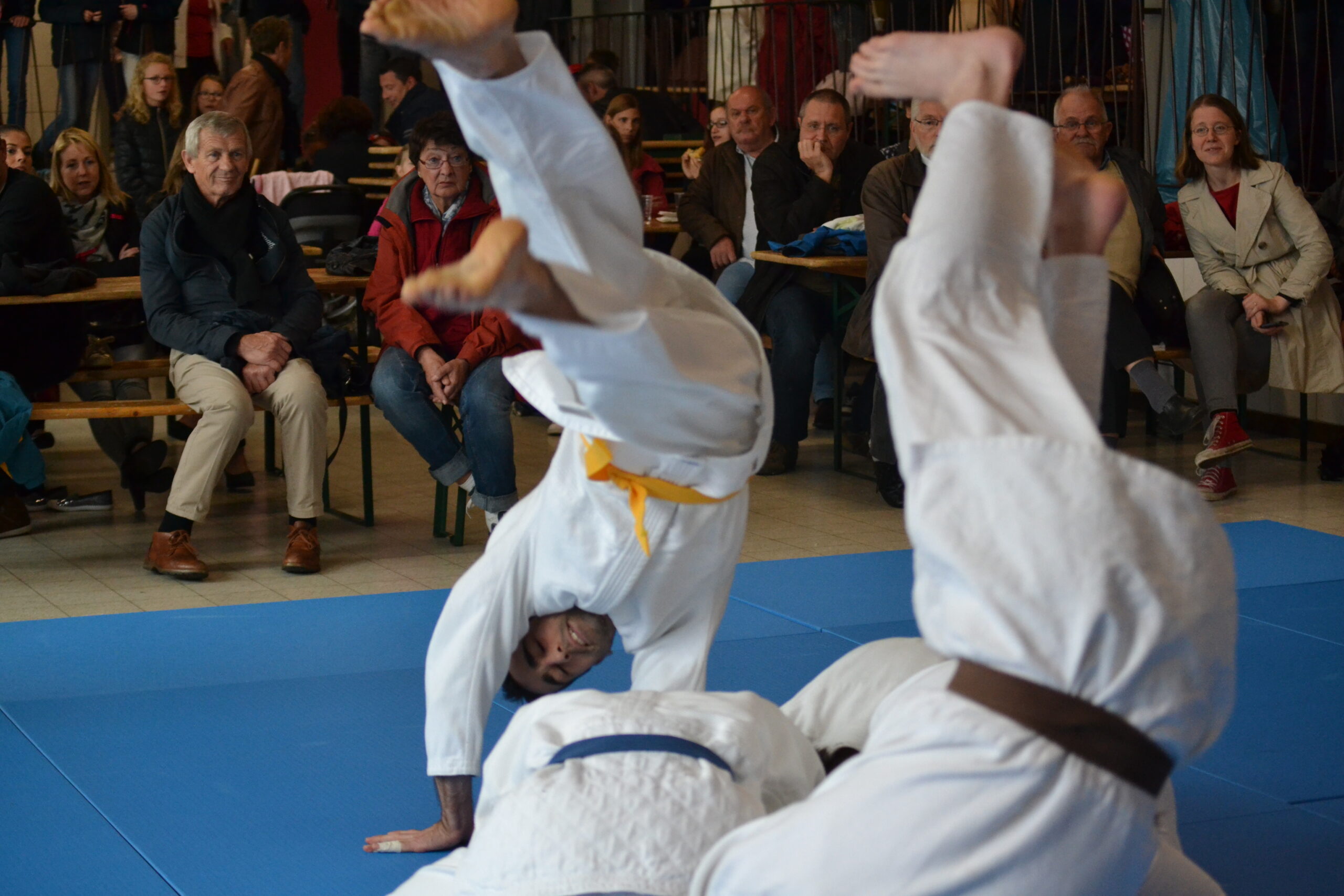 //media/jw_sigpro/users/0000001062/photo judo club habay/jd 30